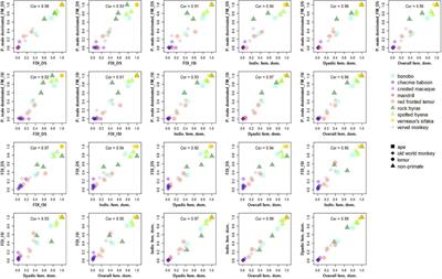 Sex and dominance: How to assess and interpret intersexual dominance relationships in mammalian societies